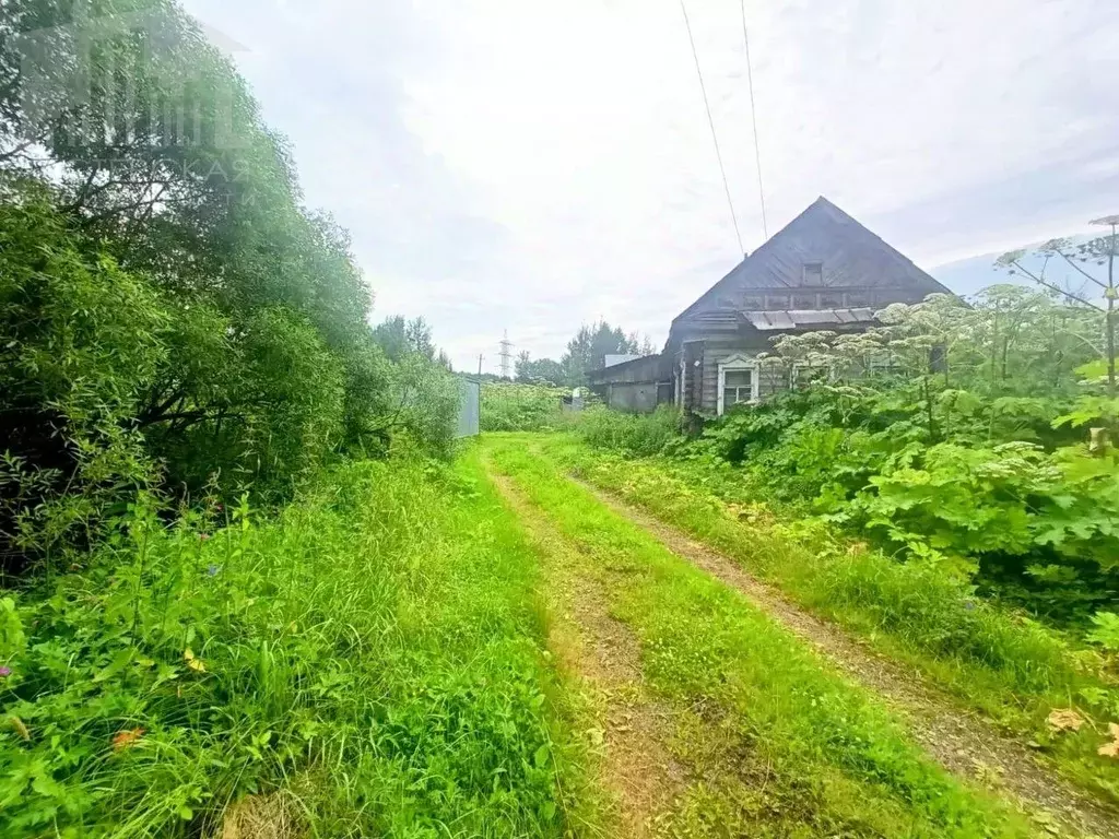 Участок в Московская область, Истра муниципальный округ, д. Лисавино ... - Фото 2
