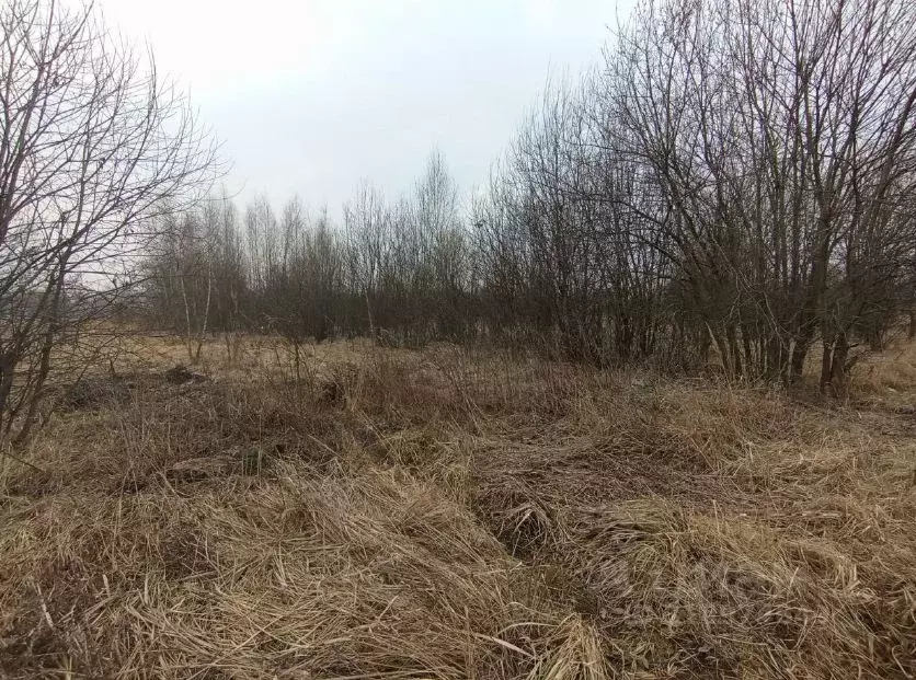 Участок в Московская область, Коломна городской округ, с. Никульское  ... - Фото 0