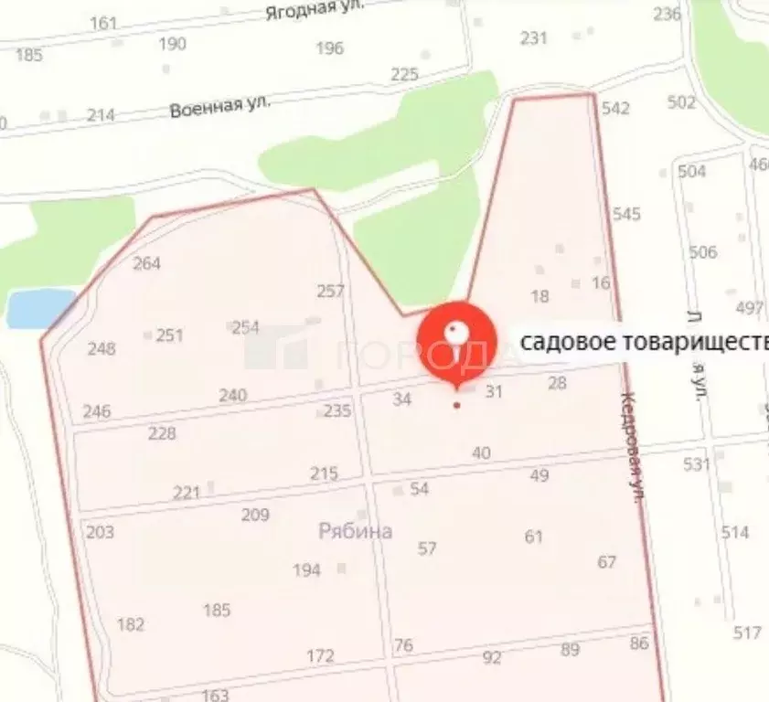 Участок в Новосибирская область, Коченевский район, Рябина садовое ... - Фото 1