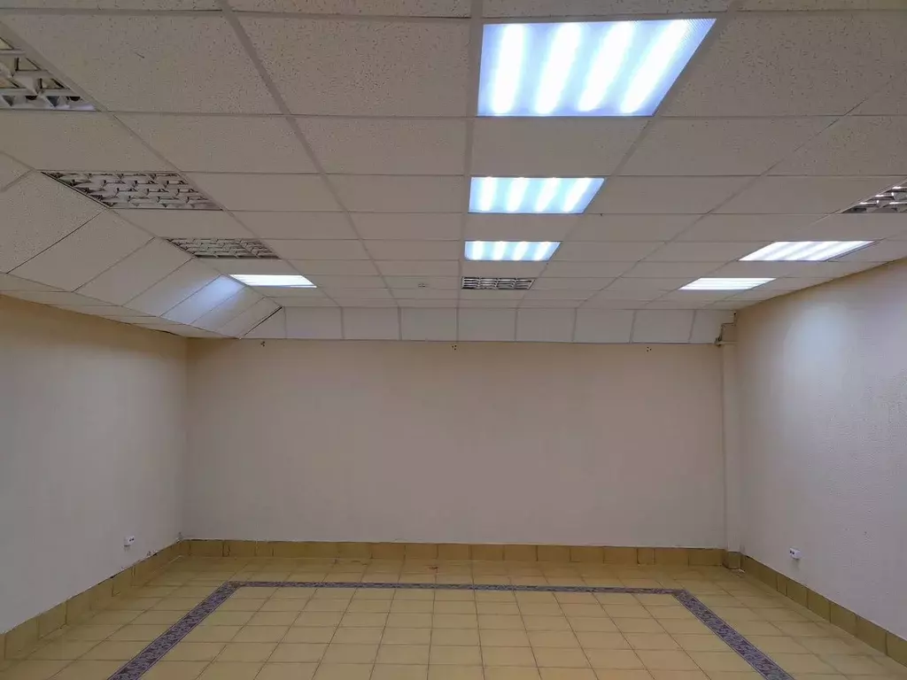 Помещение свободного назначения в Новосибирская область, Новосибирск ... - Фото 2