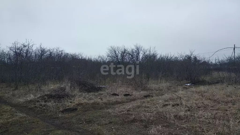 Участок в Ростовская область, Неклиновский район, Синявское с/пос, ... - Фото 0