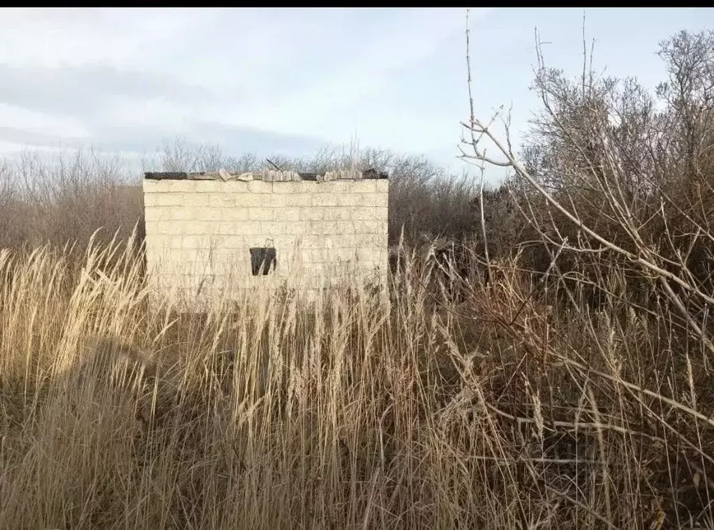 Участок в Татарстан, Альметьевск Граждан Виктория СНО, 5 (5.76 сот.) - Фото 2