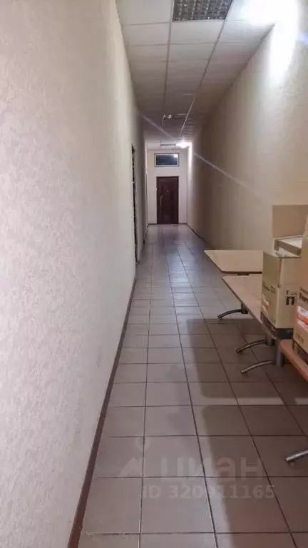 Помещение свободного назначения в Алтайский край, Рубцовск просп. ... - Фото 2