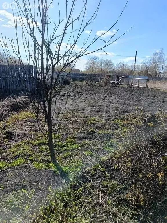 Дом в Тюменская область, Ялуторовск (15 м) - Фото 1