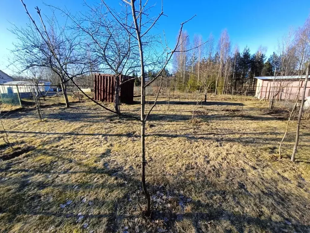 Участок в Ярославская область, Рыбинский муниципальный округ, ... - Фото 0