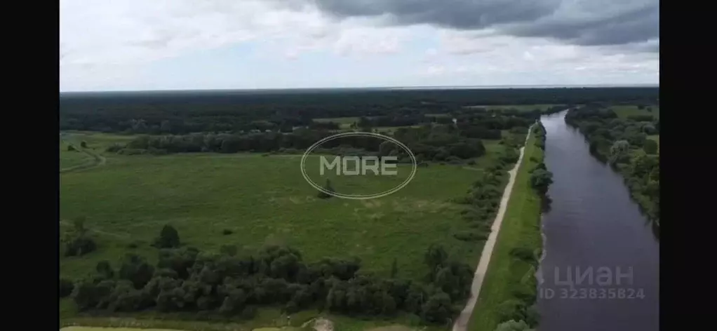 Участок в Калининградская область, Славский муниципальный округ, пос. ... - Фото 1