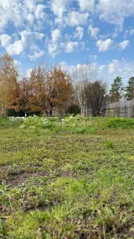Участок в Кожевниковский район, деревня Астраханцево, Центральная ... - Фото 1