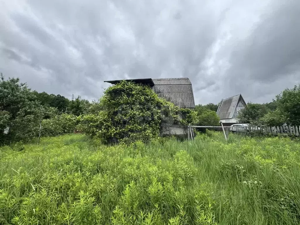 Дом в Брянская область, Брянский район, Нетьинское с/пос, ... - Фото 1