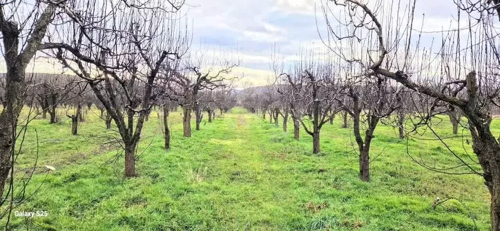Участок в Бахчисарайский район, посёлок городского типа Почтовое (138 ... - Фото 2