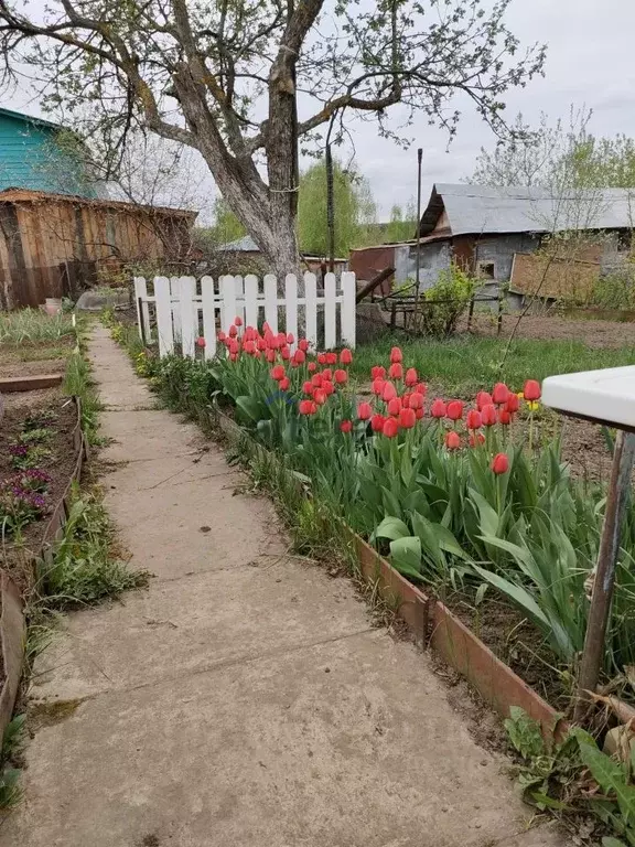 Дом в Татарстан, Казань Фреон СНТ, аллея 2-я (35 м) - Фото 1
