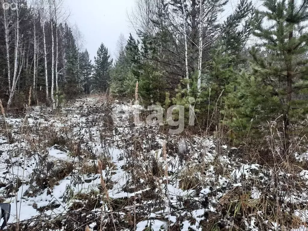 Участок в посёлок Минино, Вокзальная улица (26 м) - Фото 2