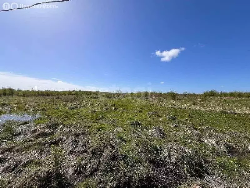 Участок в Калининградская область, Зеленоградский муниципальный округ, ... - Фото 2