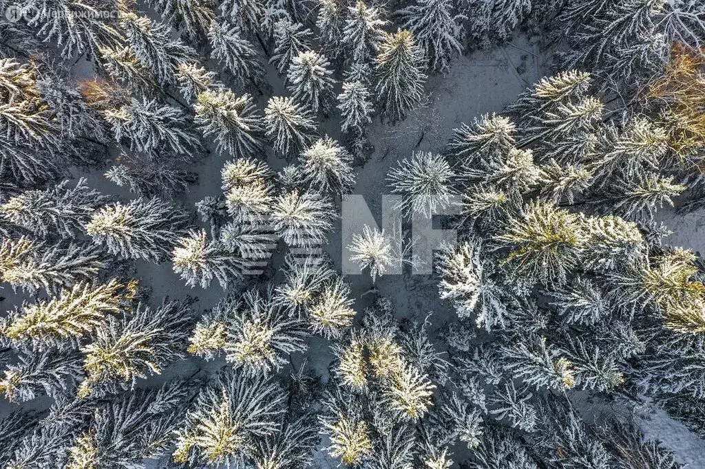 Участок в поселение Первомайское, деревня Каменка, коттеджный посёлок ... - Фото 0