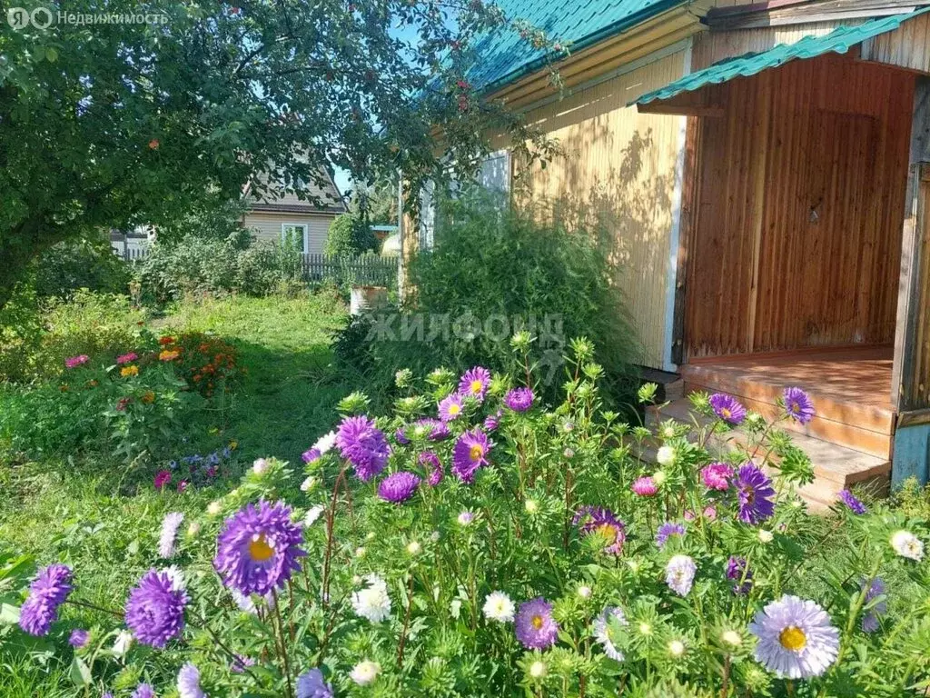 Дом в Новосибирск, садовое некоммерческое товарищество Темп (48.2 м) - Фото 1