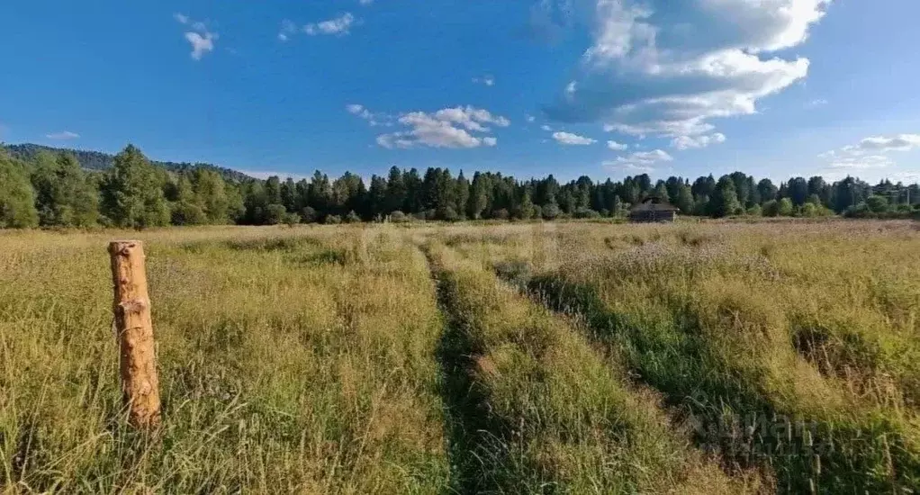 Участок в Алтай, Чойский район, Каракокшинское с/пос, с. Кузя ул. ... - Фото 1