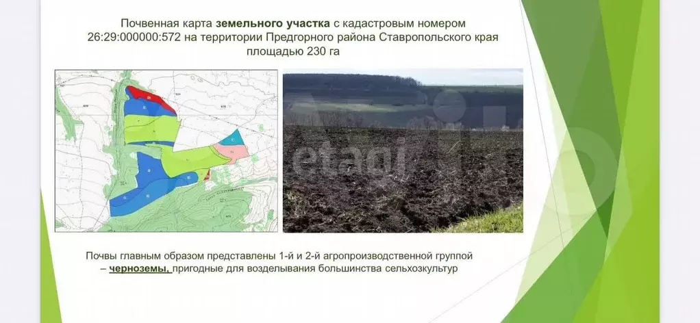 Участок 230 га (СНТ, ДНП) - Фото 1