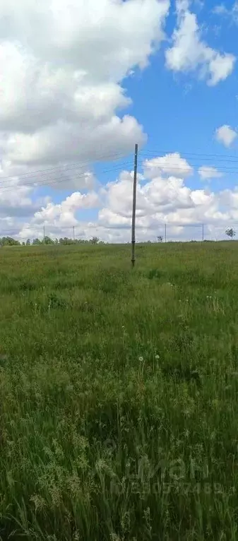 Участок в Воронежская область, Семилукский район, с. Девица Светлый ... - Фото 2
