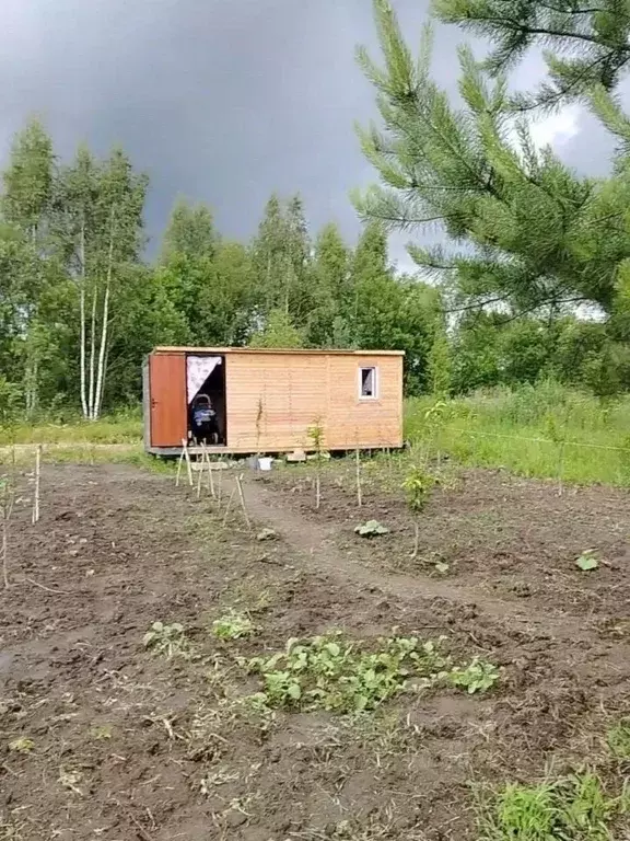 Участок в Московская область, Раменский муниципальный округ, с. ... - Фото 2