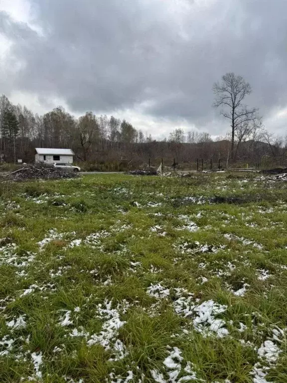 Участок в Алтай, Майминский район, пос. Дубровка ул. Сафронова (20.0 ... - Фото 2