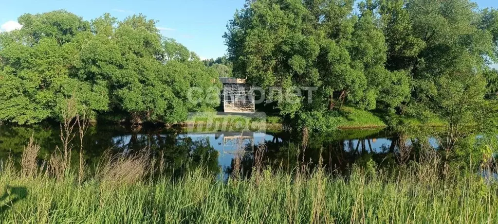 Участок в Курская область, Курский район, Клюквинский сельсовет, с. ... - Фото 1