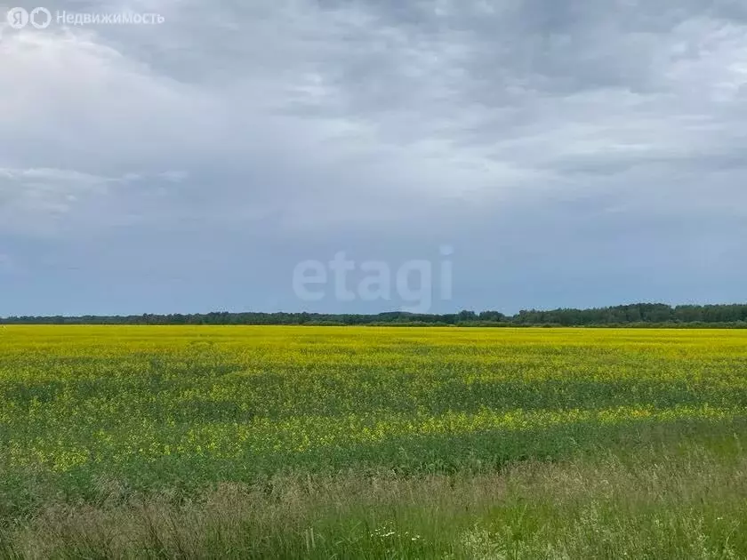 Участок в Тюменская область, Нижнетавдинский муниципальный округ, село ... - Фото 2