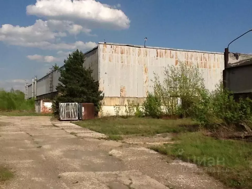 Производственное помещение в Московская область, Кашира ул. ... - Фото 1