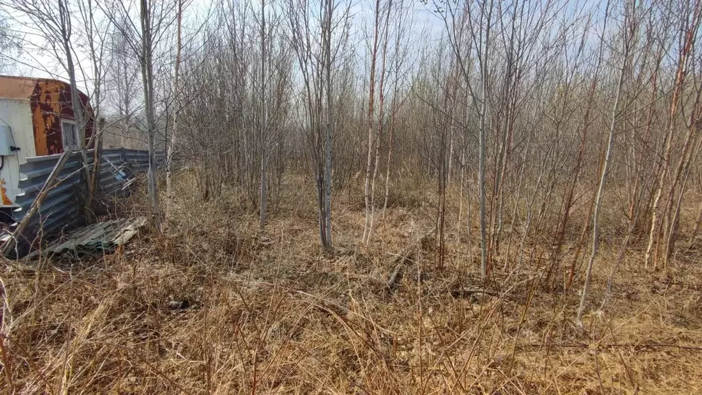 Участок в Ханты-Мансийский АО, Ханты-Мансийск Следопыт СОТ, 37 (10.0 ... - Фото 2