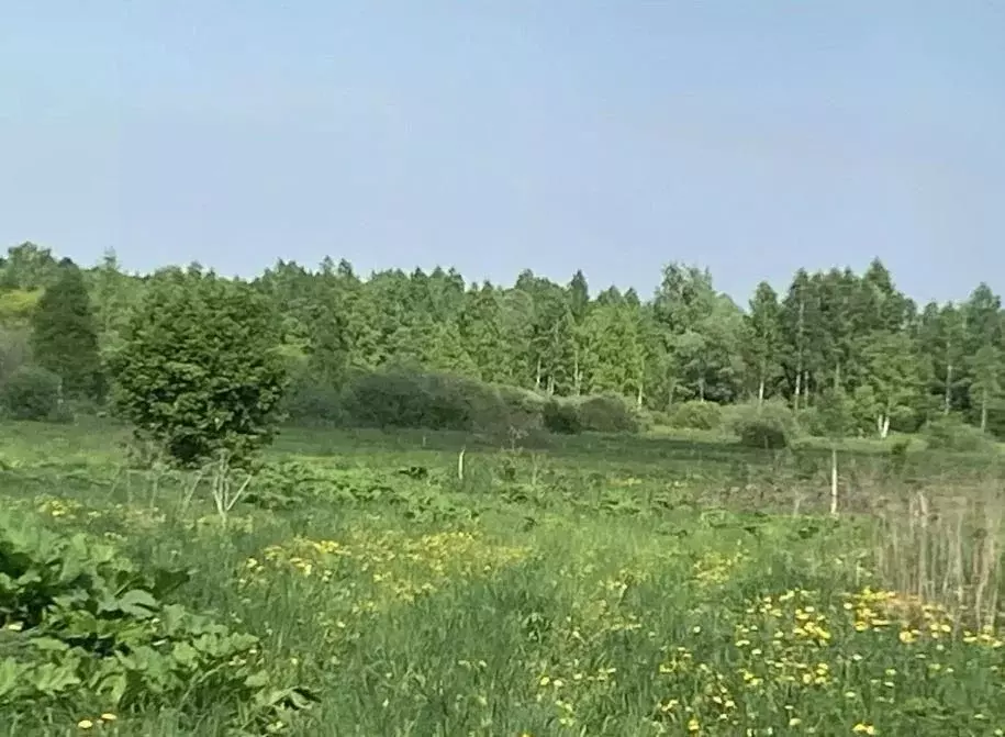 Участок в Московская область, Можайский муниципальный округ, д. ... - Фото 1