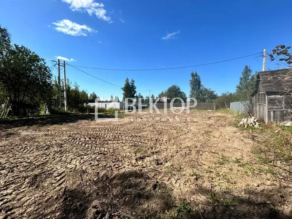 Участок в Ивановская область, Ивановский район, Новоталицкое с/пос, ... - Фото 2