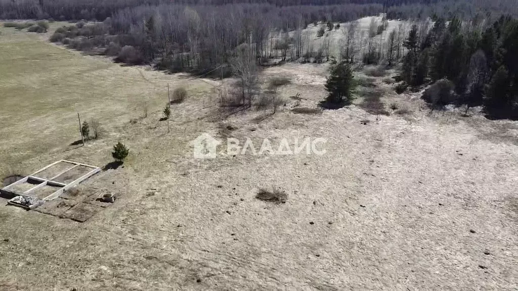 Участок в Владимирская область, Судогодский муниципальный округ, д. ... - Фото 1
