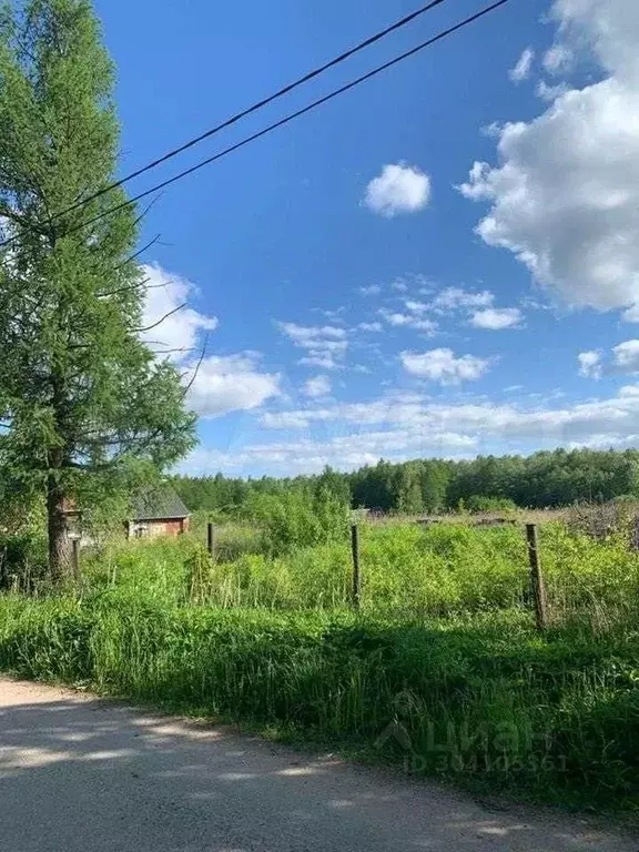 Участок в Новгородская область, Новгородский район, Борковское с/пос, ... - Фото 0