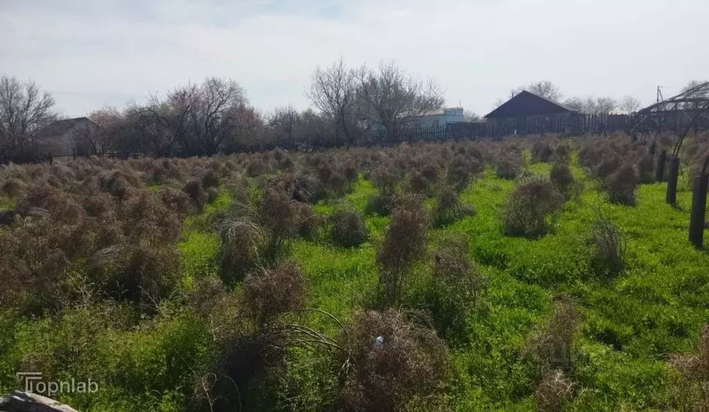 Участок в Астраханская область, Приволжский район, с. Яксатово ... - Фото 2