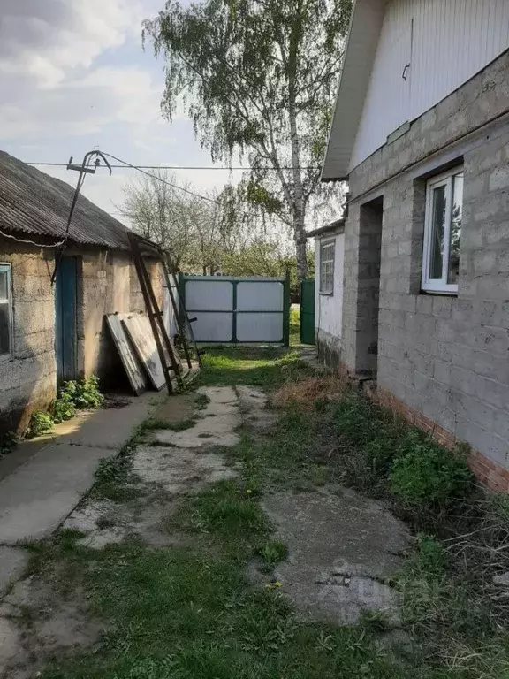 3-к кв. Белгородская область, Белгород Юбилейная ул., 52 (50.0 м) - Фото 1