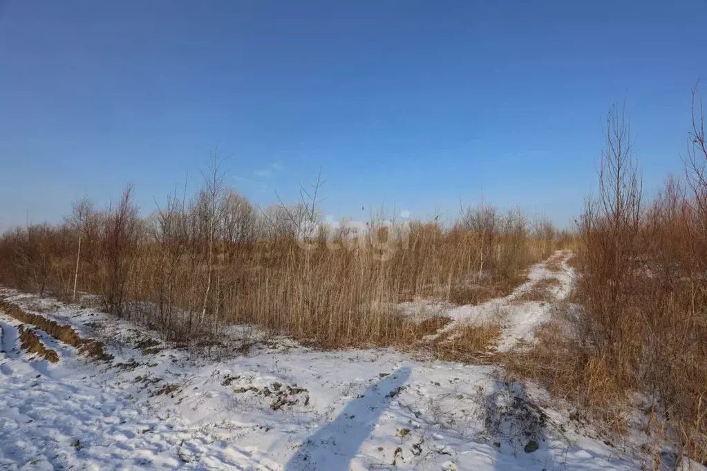 Участок в Хабаровский край, Хабаровский район, с. Краснореченское, ... - Фото 1