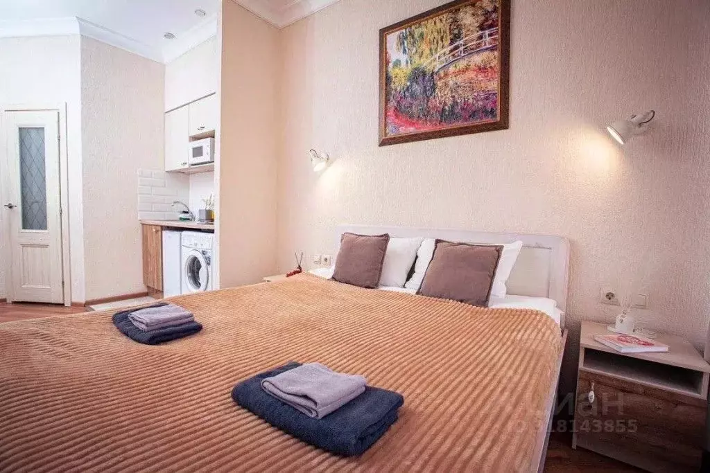 1-к кв. Санкт-Петербург Дмитровский пер., 7 (23.0 м) - Фото 1