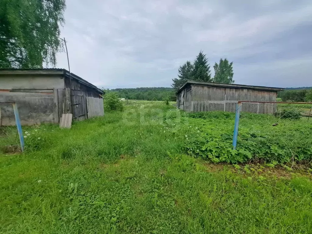 Участок в Вологодская область, Шекснинский муниципальный округ, ... - Фото 1
