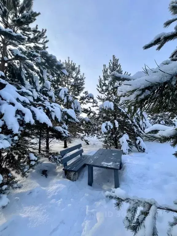 Дом в Тюменская область, Тюменский район, Новокаменский кп ул. ... - Фото 1
