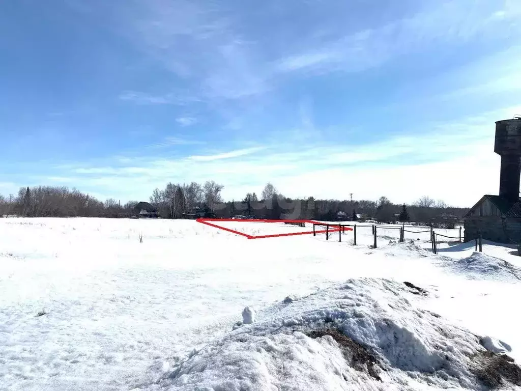 Участок в Новосибирская область, Новосибирский район, с. Ярково ... - Фото 1