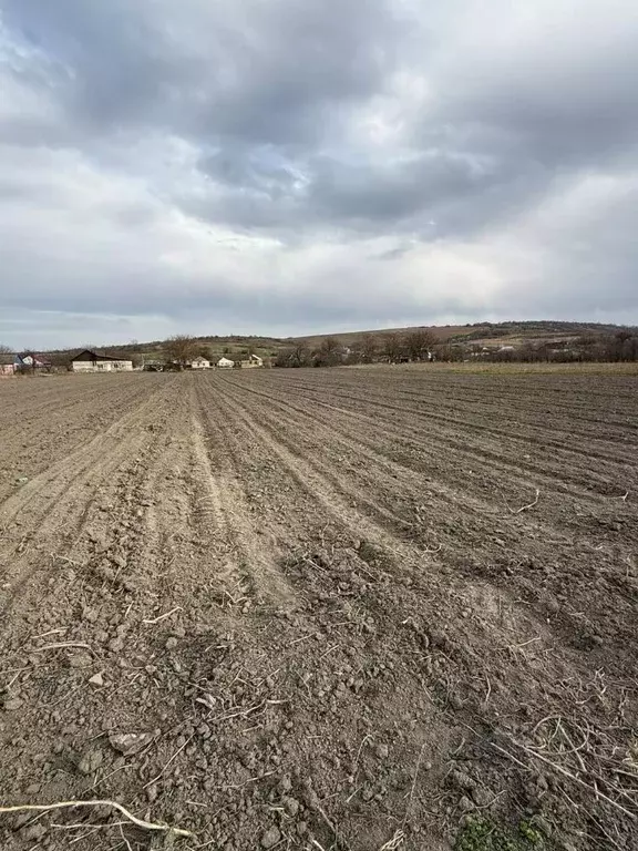 Участок в Краснодарский край, Крымский район, Адагумское с/пос, ... - Фото 2
