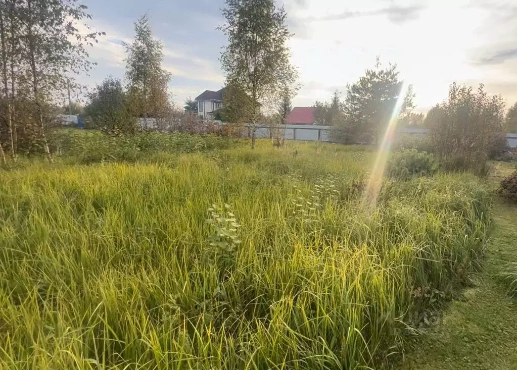 Участок в Тверская область, Конаковский муниципальный округ, ... - Фото 2