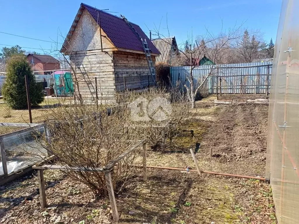 Участок в Новосибирская область, Бердск Мичуринец НОС, ул. Зеленая ... - Фото 2