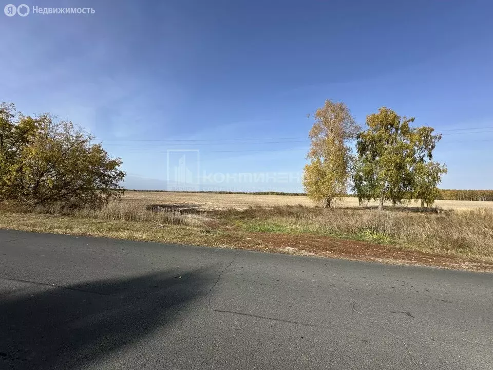 Дом в Большой Санчур, Центральная улица, 54 (30 м) - Фото 0