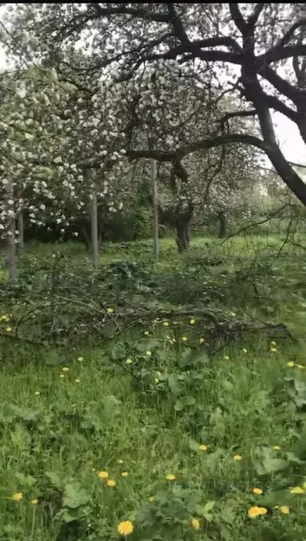 Участок в Московская область, Кашира городской округ, д. Яковское ул. ... - Фото 0