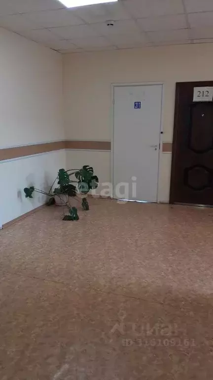 Офис в Кемеровская область, Кемерово Кузнецкий просп., 33Д (61 м) - Фото 1