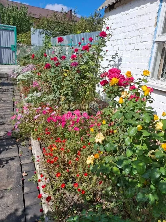 Дом в Курская область, Касторенский район, Поселок Новокасторное ... - Фото 1