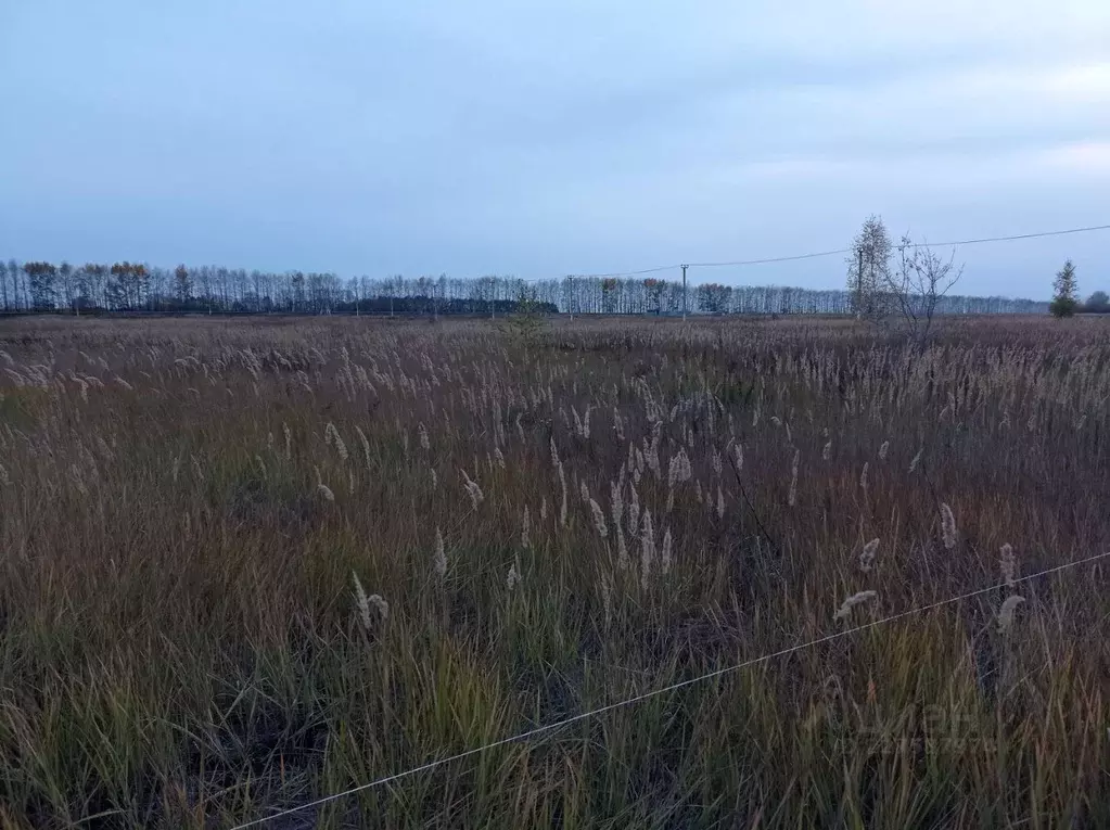 Участок в Татарстан, Тетюши ул. Яковлева, 52 (12.0 сот.) - Фото 0