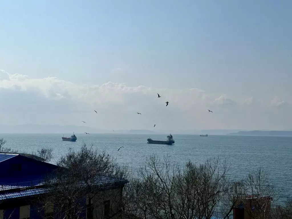 1-к кв. Приморский край, Владивосток ул. Станюковича, 54Г (38.0 м) - Фото 2