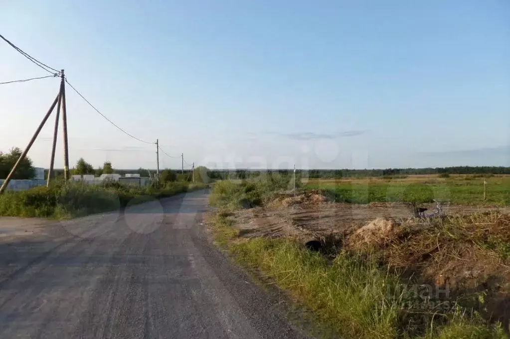 Участок в Вологодская область, Череповецкий район, Ирдоматское с/пос  ... - Фото 1