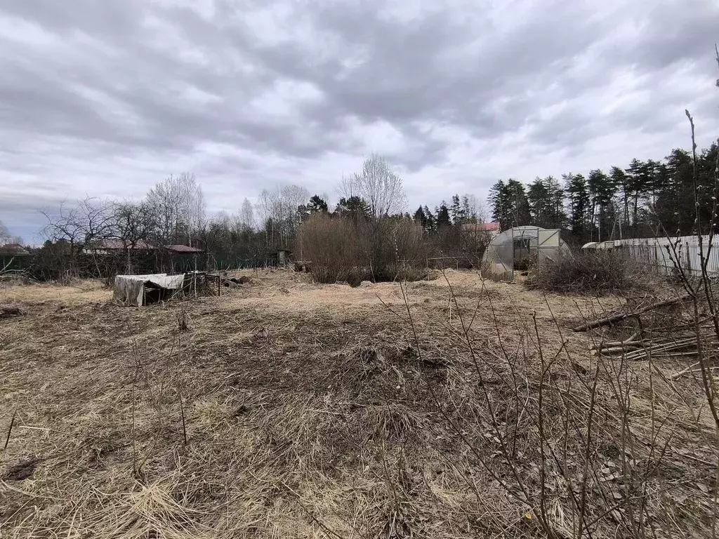 Участок в Московская область, Талдомский городской округ, д. Малое ... - Фото 1