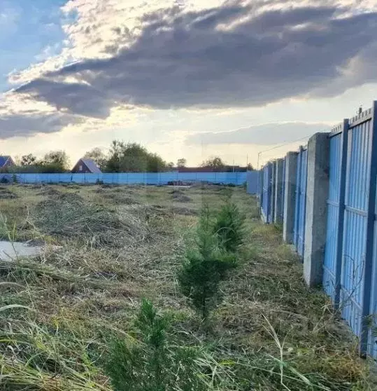 Участок в Новосибирская область, Новосибирский район, Мичуринский ... - Фото 0